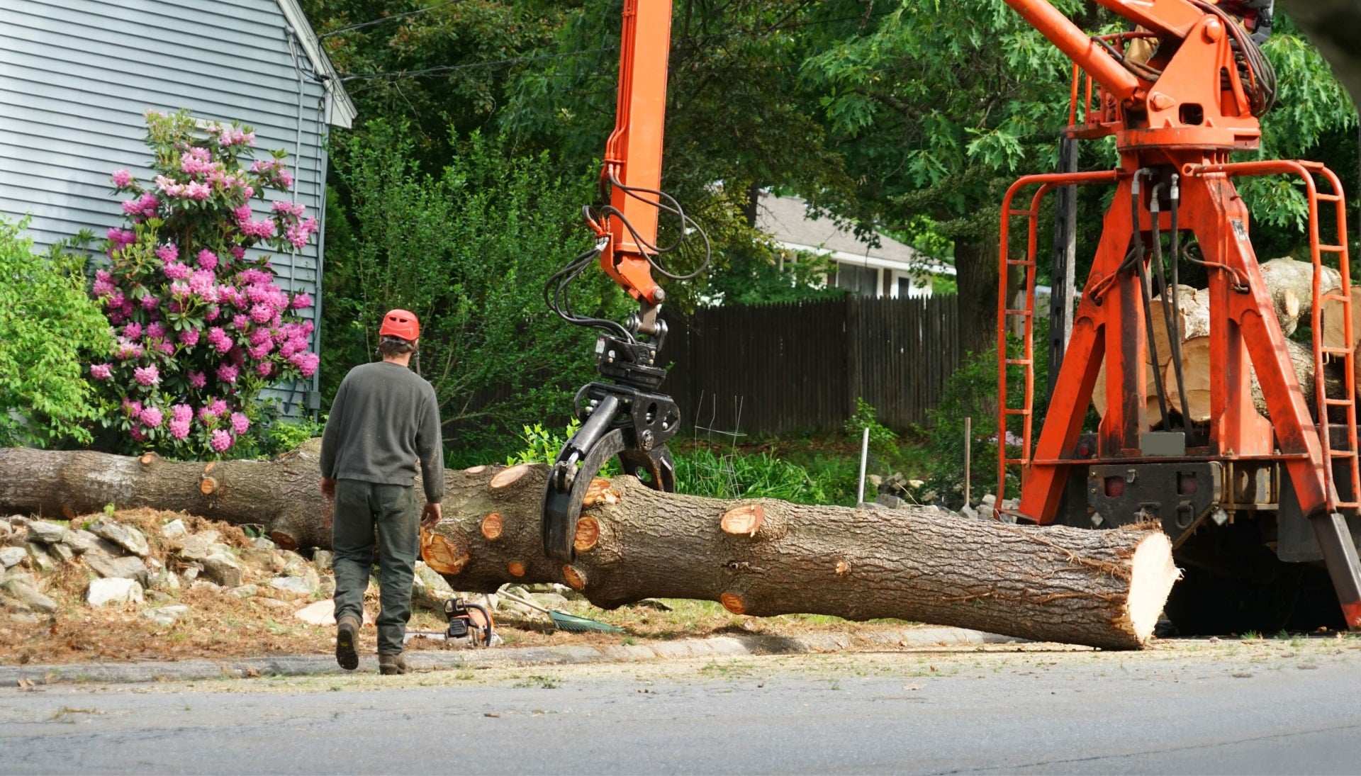 Local partner for Tree removal services in Reno