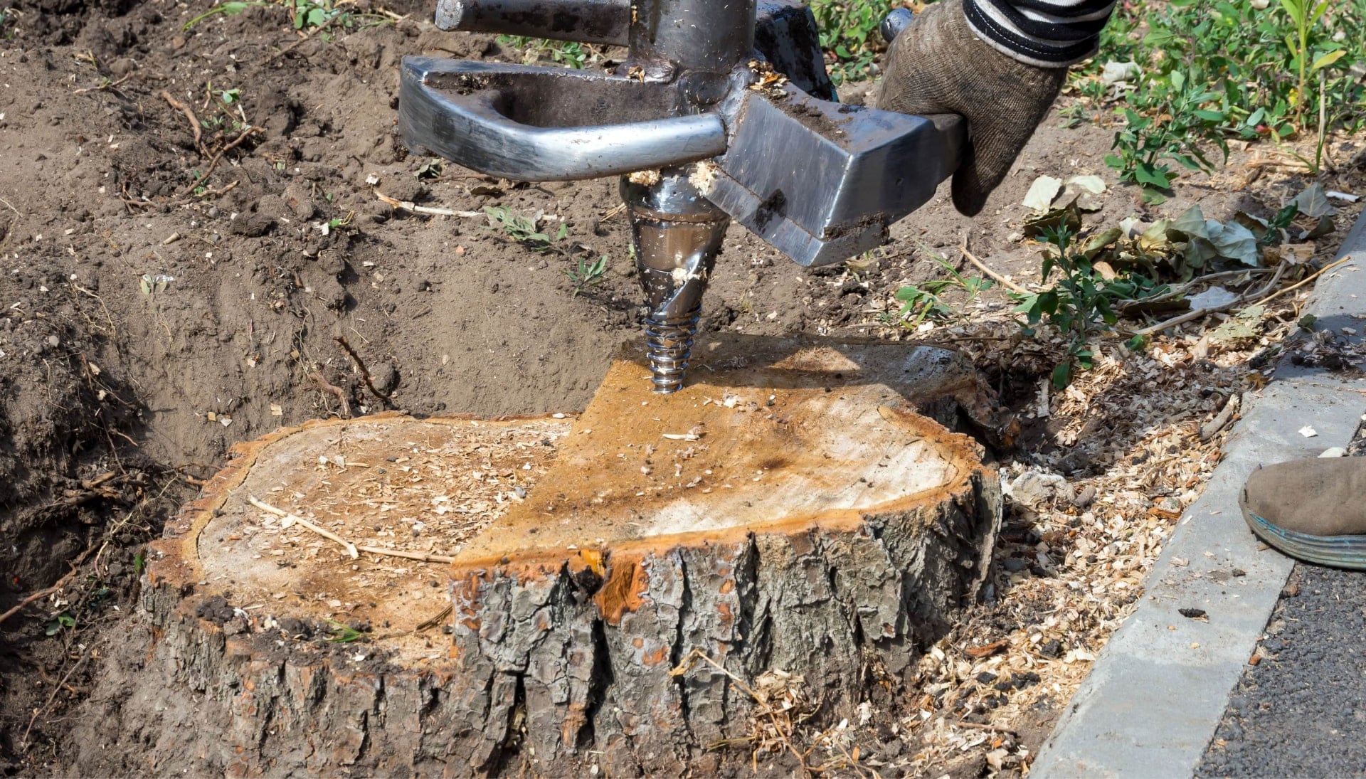 Reno Tree stump removal